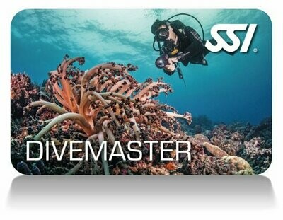 SSI Dive Master N/A