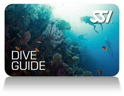 SSI Dive Guide N/A