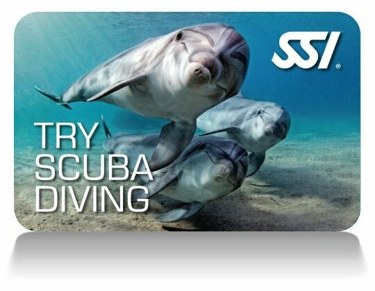 Bautizo de buceo