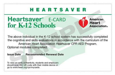 Group HeartSaver First Aid CPR AED for Schools (K-12) 10-19 people