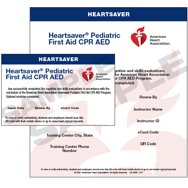 Heartsaver Pediatric First Aid CPR AED (AHA)