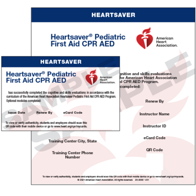 Heartsaver Pediatric First Aid CPR AED Skills Session (AHA)