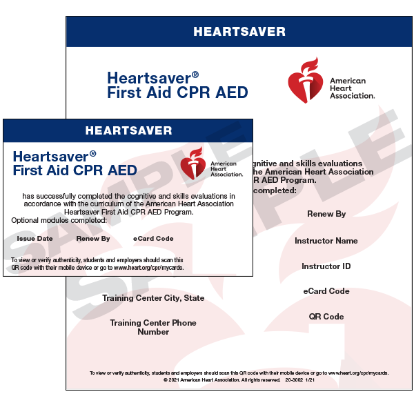 Group Heartsaver® First Aid CPR AED Training, 20+ people