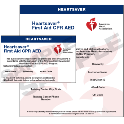 Group Heartsaver® First Aid CPR AED Training, 10-19 people