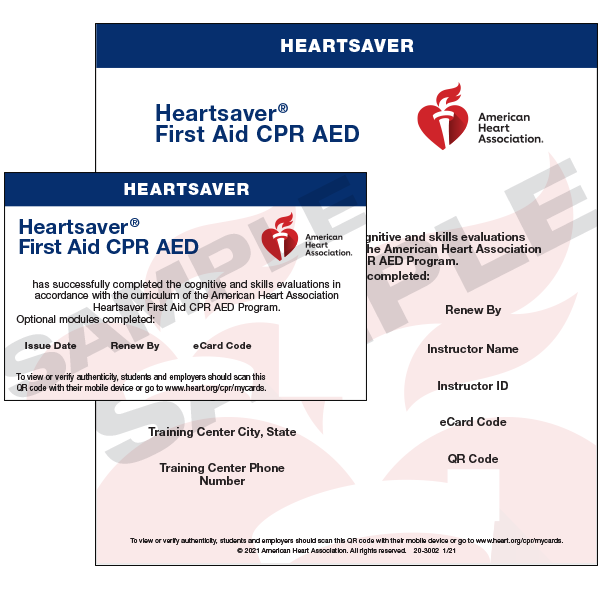 HeartSaver First Aid CPR AED Skills Session (AHA)