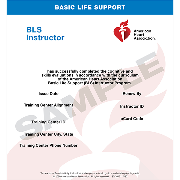 BLS Instructor Course (AHA)
