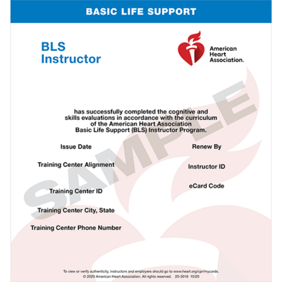 BLS Instructor Course (AHA)