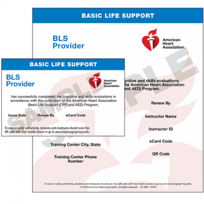 Group BLS Training, 5-9 people