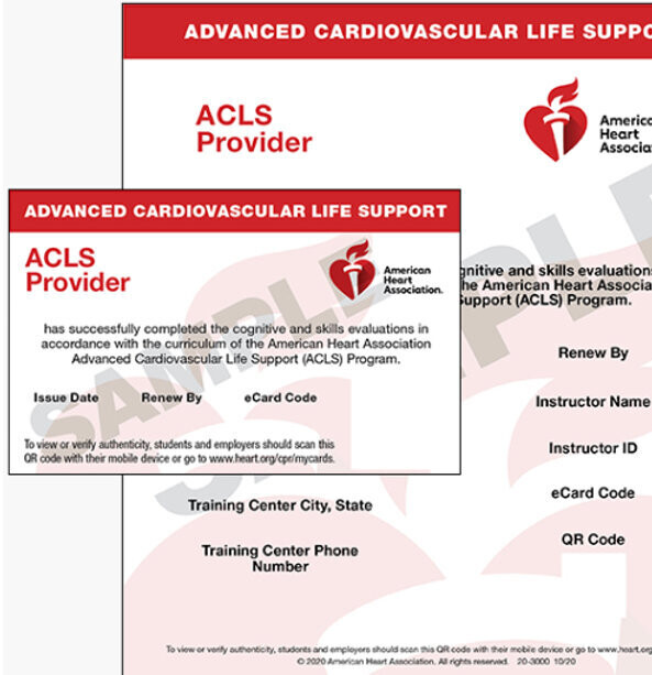 Group ACLS  Renewal Training, 5-9  people