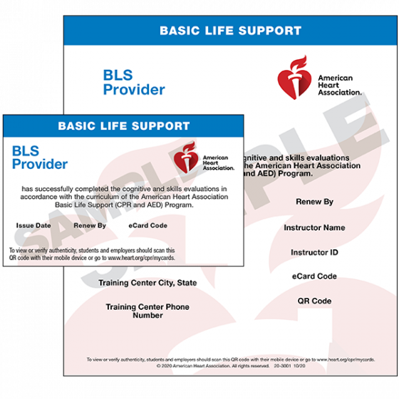 BLS Skills Session (AHA)