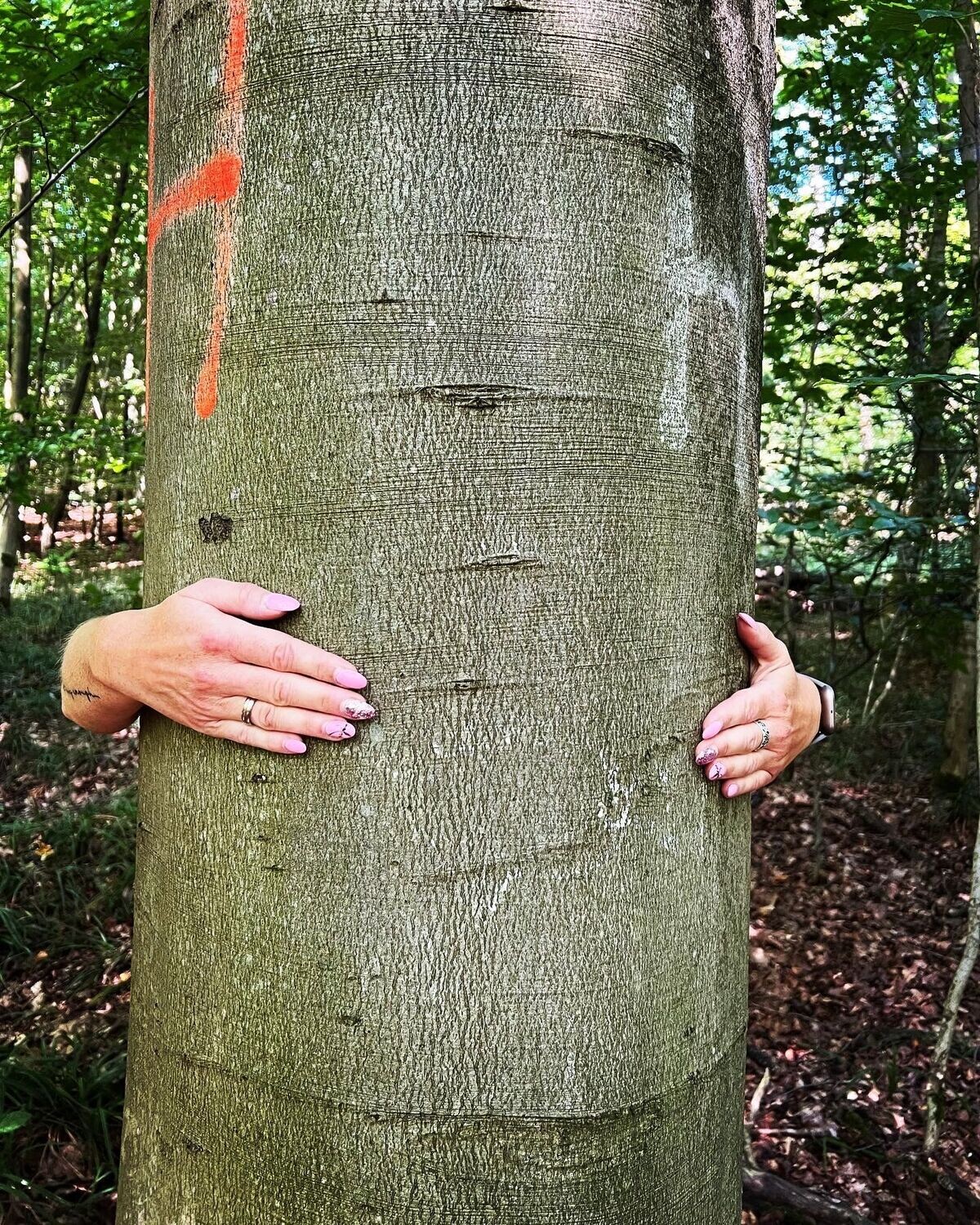 14.09.2025 Achtsame Waldauszeit - Gönne Dir und Deinem Körper eine kleine Auszeit - Waldbaden