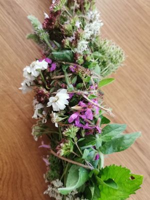 Wildkräuterspaziergang mit Räucherbündel binden