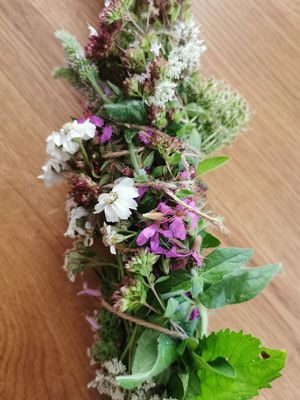 Wildkräuter Spaziergang mit Räucherbündel binden Wildkräuter Spaziergang mit Räucherbündel binden