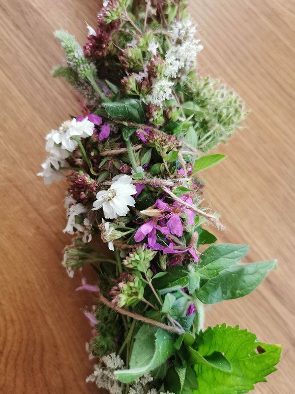 Wildkräuter Spaziergang mit Räucherbündel binden