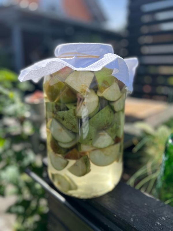 20.06.2026 Workshop Kräuter am Wegesrand