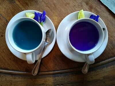 Blue Butterfly Pea Flower