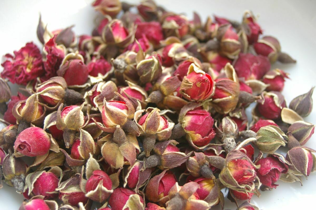 Rose Buds