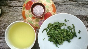 Traditional Sencha