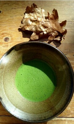 Japanese Uji Matcha+ - M6 high grade