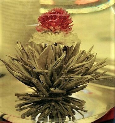 Blooming Tea Flowers