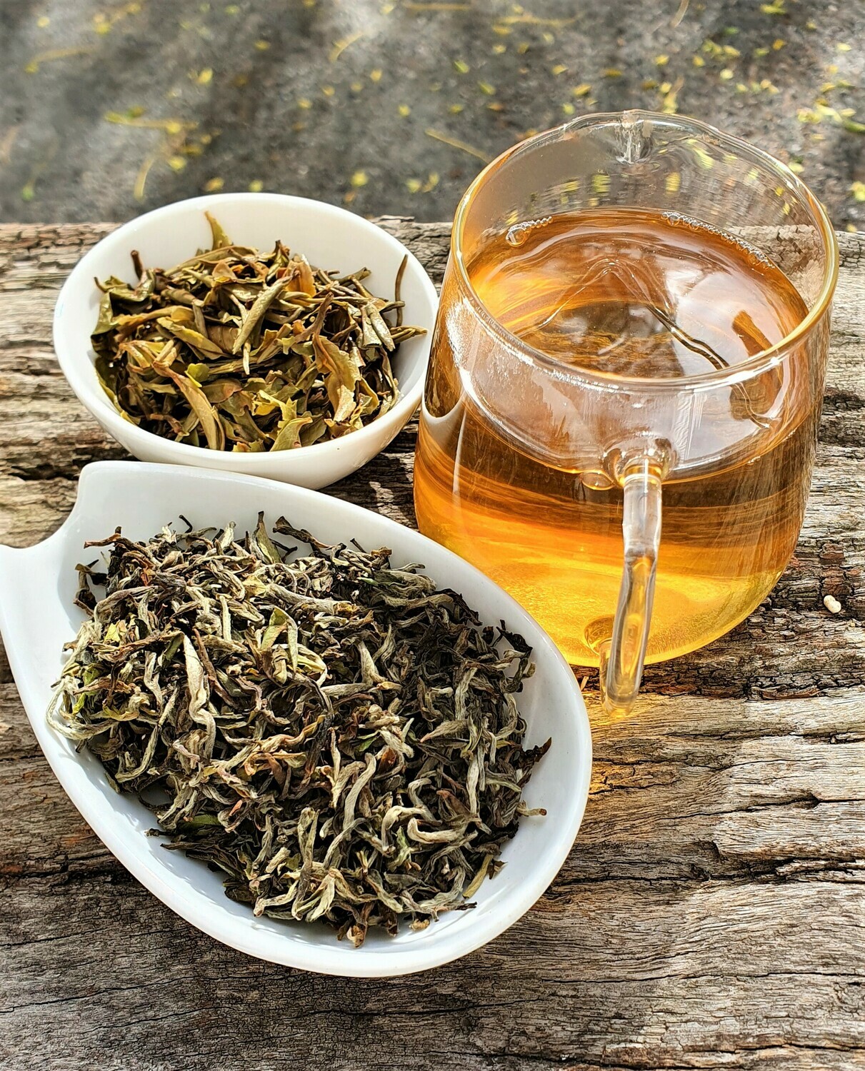 Himalayan Spring