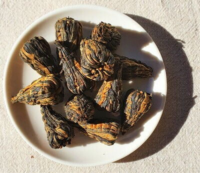 Feng Qing Black Tea Cones