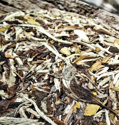 2017 Shou Mei aged white tea
