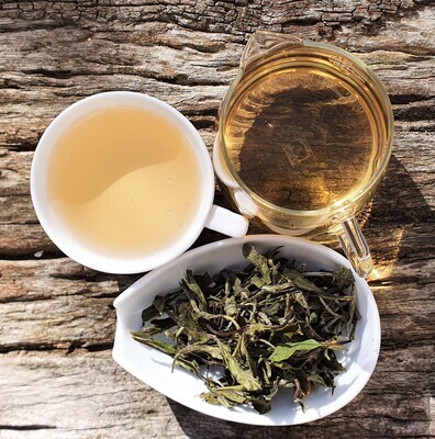 &quot;White Peony&quot; Bai Mu Dan