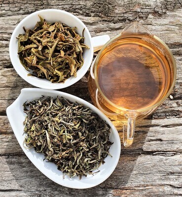 September Bundle #2- Special Spring-Sample Sips