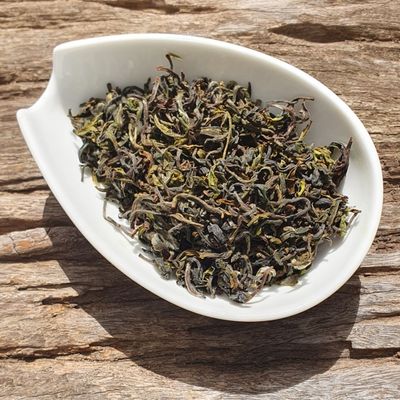 Himalayan Shiiba