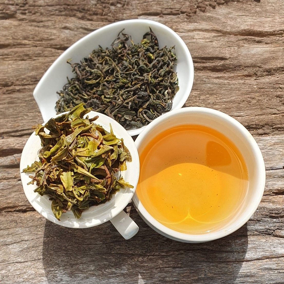 Himalayan Shiiba