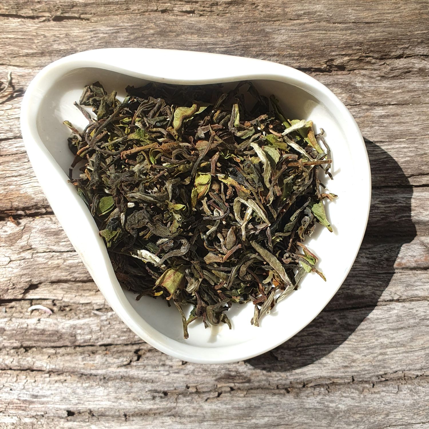 Gielle  "Wonder" Darjeeling First Flush - (DJ/5)- FTGFOP1, Bag size: 50g