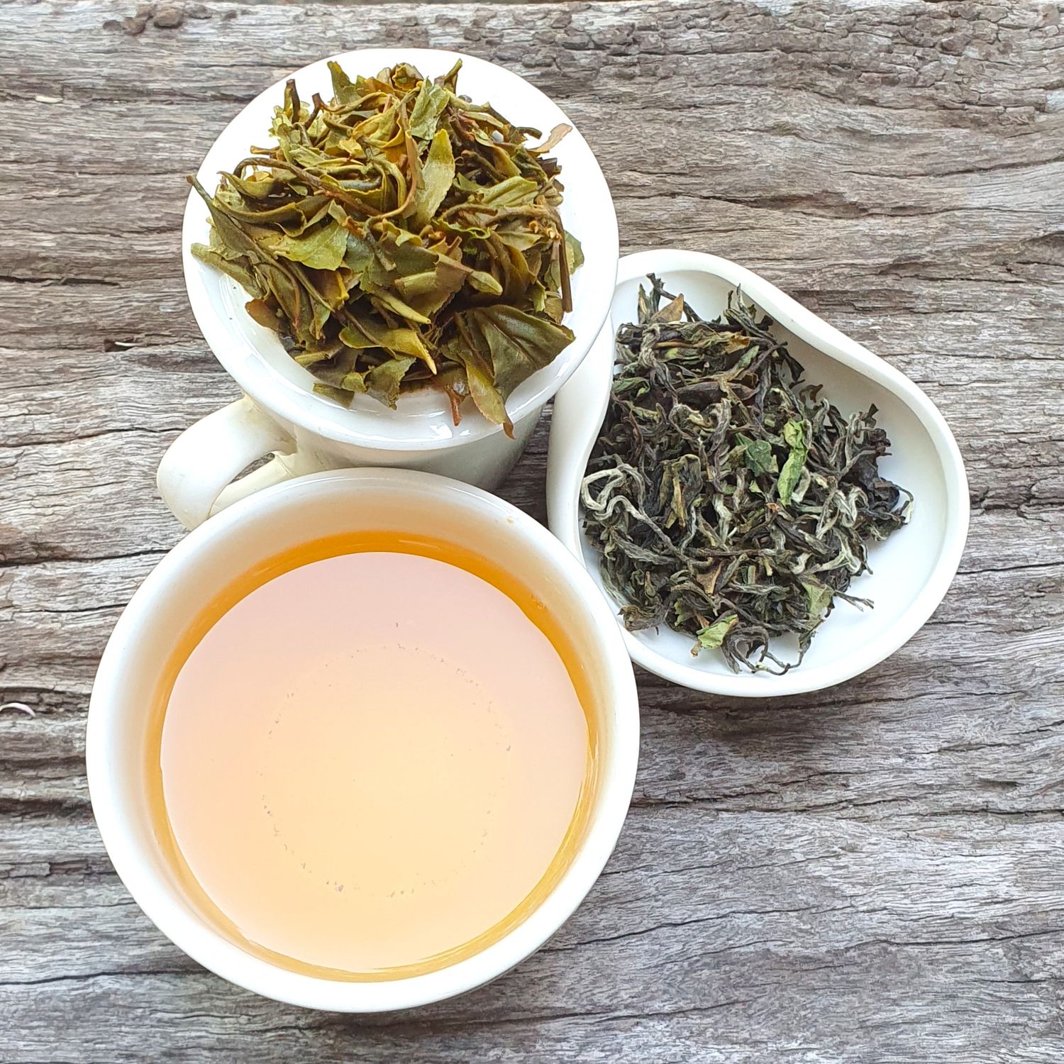 "Spring Himalayan Breeze" Hand-rolled First Flush