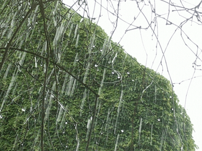 FLASH/SPLASH SALE $4 off every bag listed..