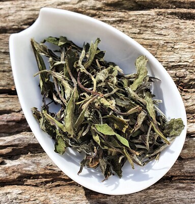 "White Peony" Bai Mu Dan