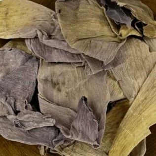 Sacred / Blue Lotus petals