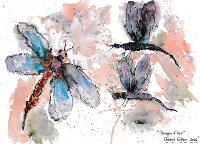 Debbie Gillon - 'Dragon Flies' Print - Shipping May