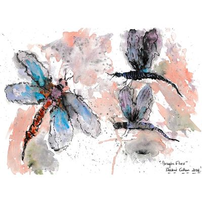 Debbie Gillon - 'Dragon Flies' Print - Shipping May