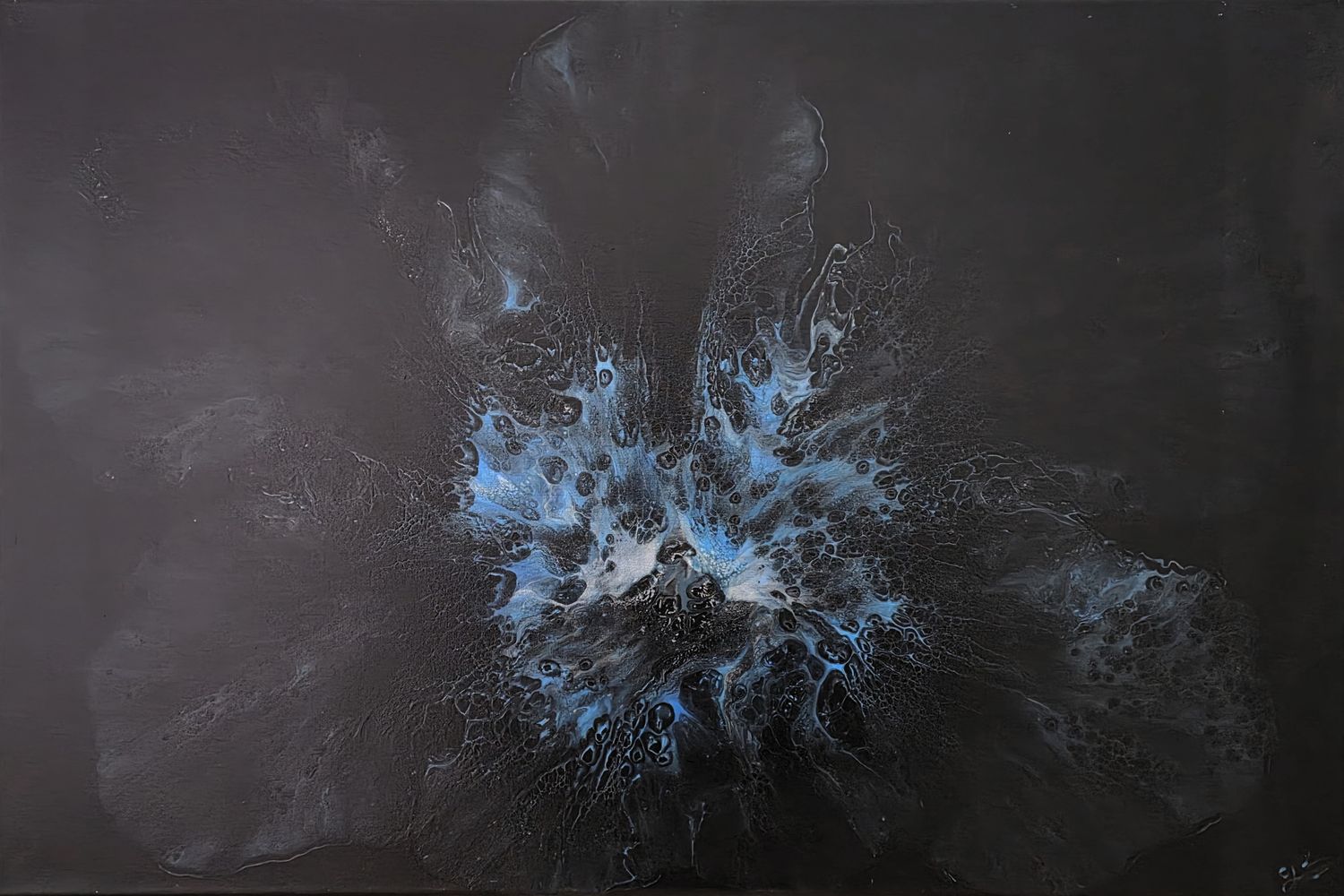 James Ian Ludlow - 'Night Flower' Print - Shipping May