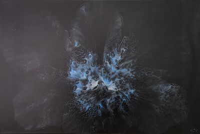 James Ian Ludlow - 'Night Flower' Print - Shipping May