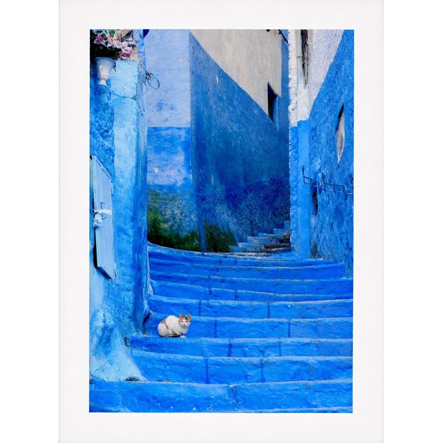Rebecca Thorpe - 'Chefchaouen Kitty' Print - Shipping May