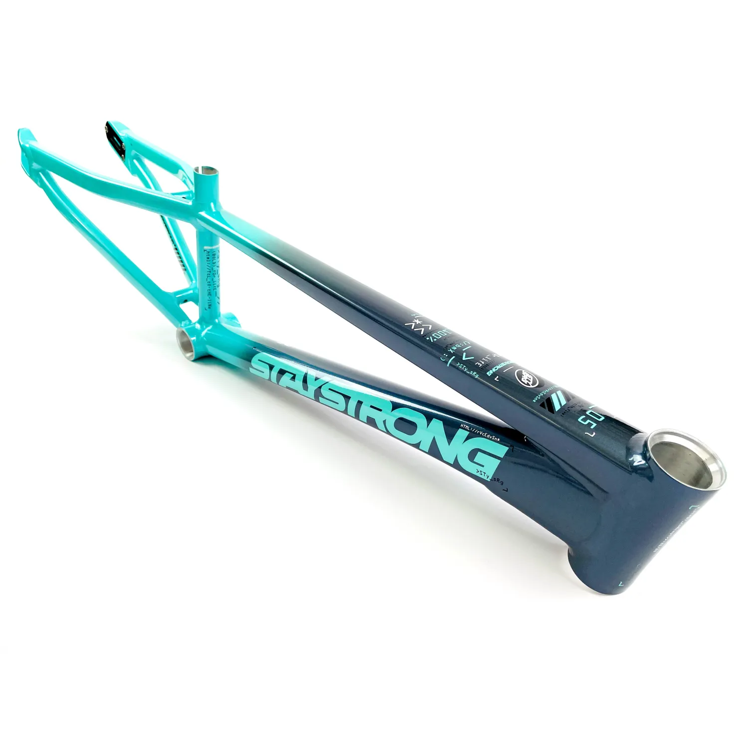 Stay Strong V5 For Life frame CHARCOAL/MINT