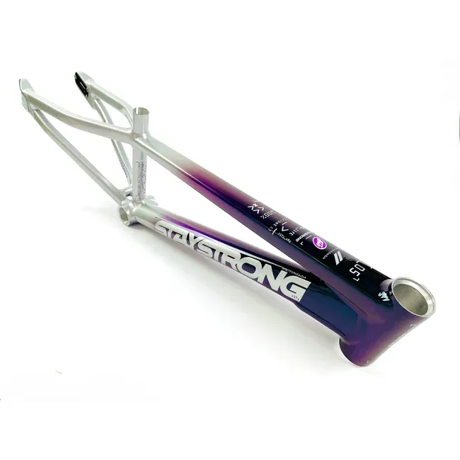 Stay Strong V5 For Life frame CHAM/SILVER Stay Strong V5 For Life frame CHAM/SILVER