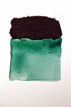 Powertex Bister Powder - Blue 30g