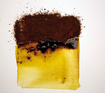 Powertex Bister Powder - Yellow 30g