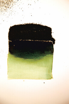 Powertex Bister Powder - Green 30g