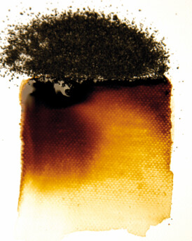 Powertex Bister Powder - Brown 30g