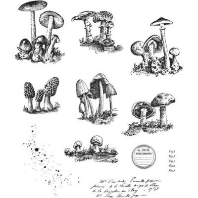 Stampers Anonymous - Tim Holtz - Cling Mount Stamps - Tiny Toadstools