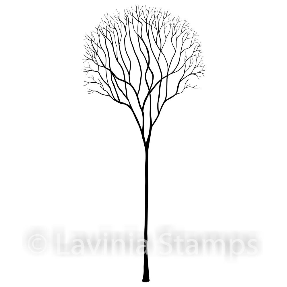 Lavinia Stamps - Skeleton Tree