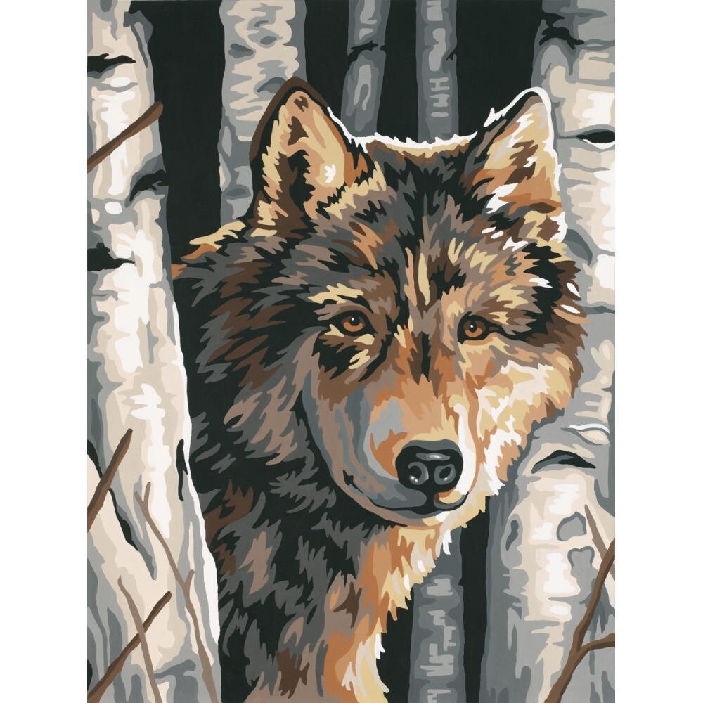 Dimensions - Paint Works - Paint By Number Kit - 9"x12" - Wolf among Birches